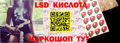ешки Славгород
