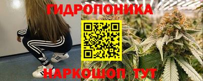 ешки Славгород