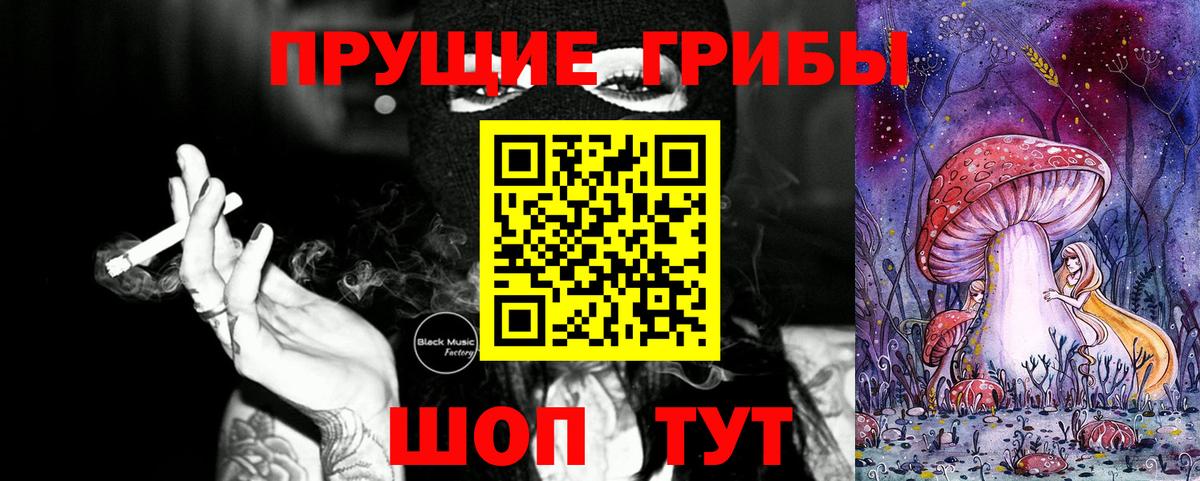 Светлоград  Галлюциногенные грибы Cubensis  Вход с VPN 